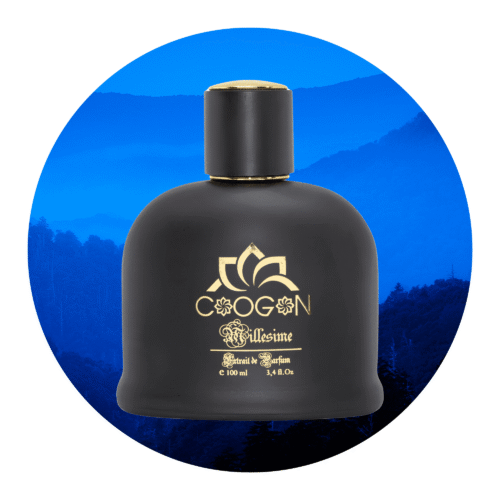 100ml variation von parfum für ihn kategorie Herrenparfüms , parfum fur manner , manner parfum , parfum für manner , dufte , duefte fur Ihn , Düfte für Ihn , Switzerland , Schweiz , online bestellen