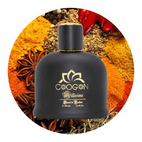 100ml schwarze bottle of parfumes , parfum für ihn oder herrenparfums kategorie in schweiz , switzerland parfumes , Düfte für Ihn , Dufte Online bestellen , Dufte fur ihn