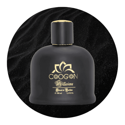 Herrendüfte kategorie , Düfte für Ihn , Schweiz dufte bestellen , hochwertige dufte , langhaltender dufte, schnelle lieferung , schwarze parfum flasche variation 100ml , schweizerischer vertrieb , switzerland , schnell lieferung , beste parfums , best collection 2025