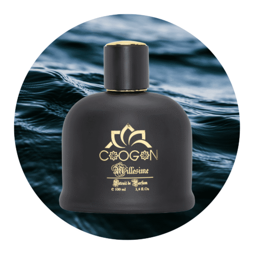 100ml variation of schwarz parfume flasche , herrendüfte , düfte für ihn , schweizerischer vertrieb , schweiz parfum bestellen , parfum bestellen schweiz