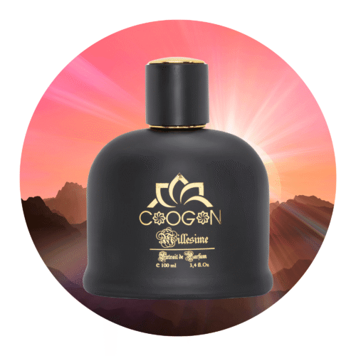 Top Herrenduft 2025, herrendufte bestellen schweiz , günstig parfumes , parfumes , schweizer unternehmer , parfums suisse , parfum online bestellen swiss, parfums suisse, Herren parfum, Herren Parfüm, Top dufte 2025 - 100ml variation, herren parfum, beste dufte fur ihn