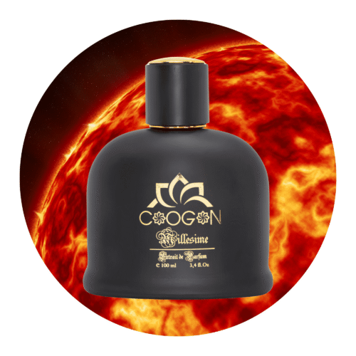 Top Herrendüft 2025, herrendufte bestellen schweiz , günstig parfumes , parfumes , schweizerishe vertrieb , parfums schweiz , parfum online bestellen swiss, parfums suisse, Herren parfum, Herren Parfüm, Top dufte 2025 - 100ml variation, herren parfum