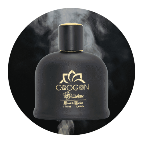 Herrenparfüm 2 Düfte für Ihn - Herrendüfte kategorie , 100 ml variations mit schwarz/gold flasche