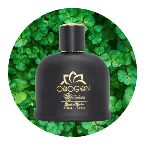 Irish twezzy schwarze parfüm flasche 100ml , kategorie Düfte für Ihn