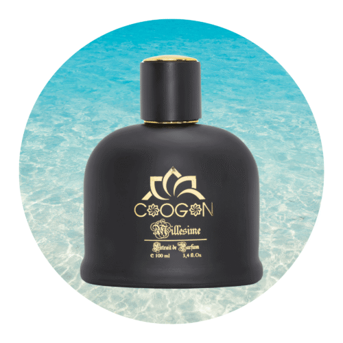 Herrenparfüm 3 Herrendüfte , Düfte für Ihn kategorie , schwarze flasche mit meer in hintergrund 100ml variation
