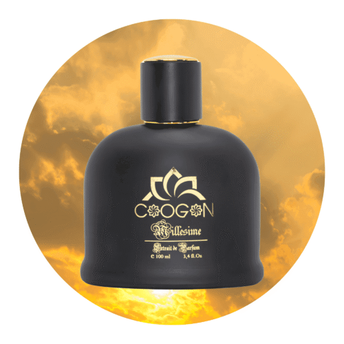 Herrenparfüm 5 Herrendüfte kategorie auf aromalux wir verkaufen beste düfte für Ihn variation 100ml mit sonne in der hintergrund